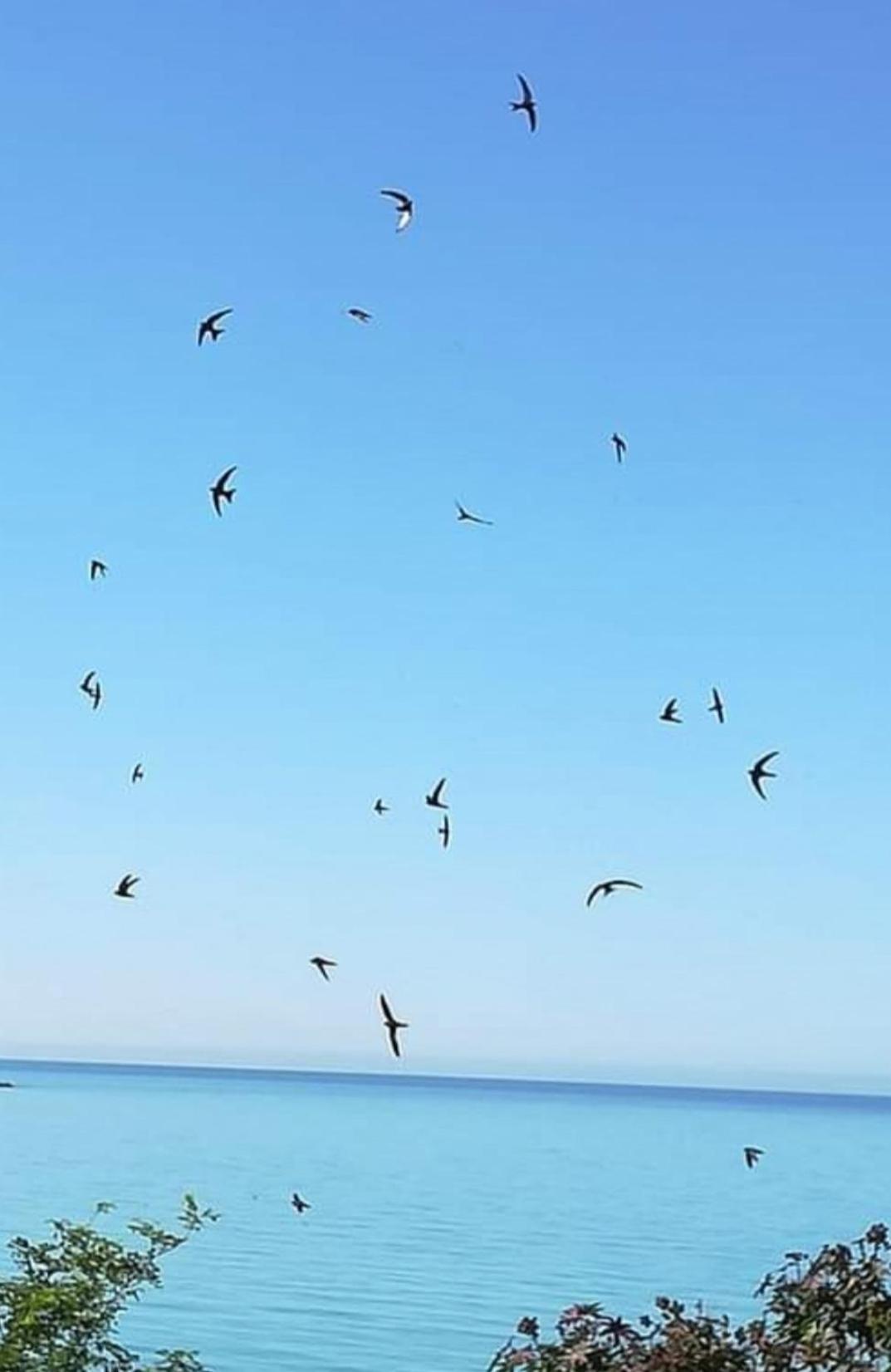 Mediterraneo Travel Gela Bagian luar foto