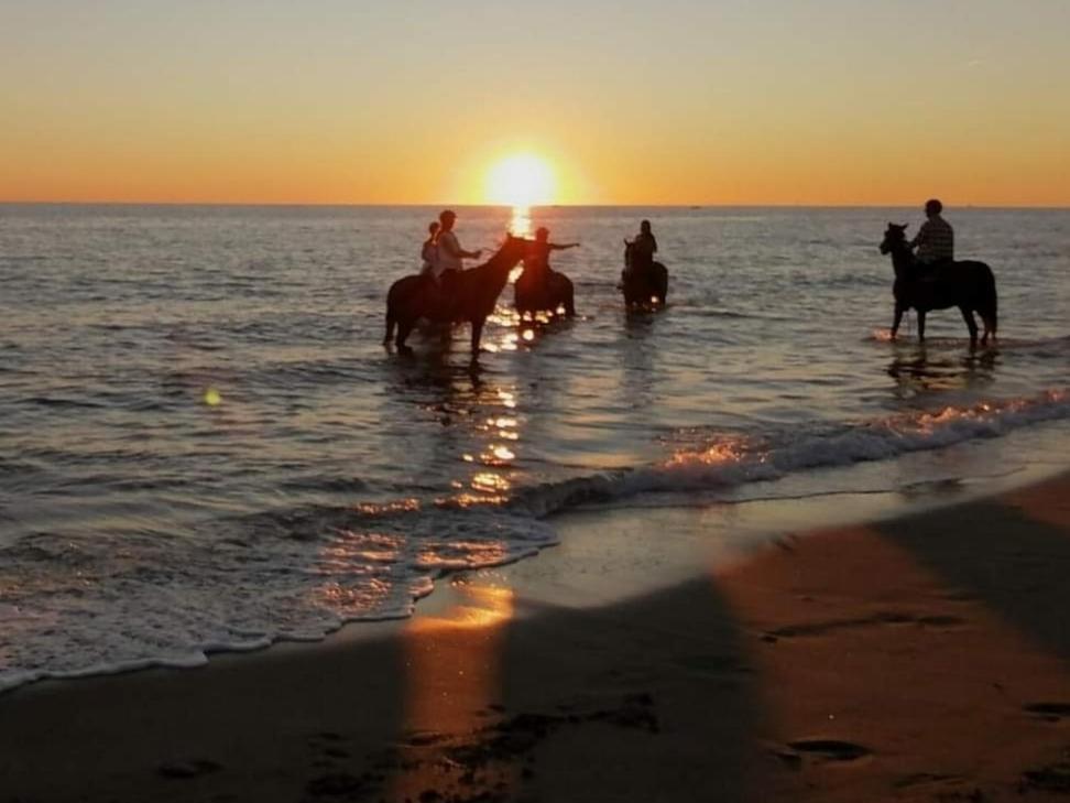 Mediterraneo Travel Gela Bagian luar foto